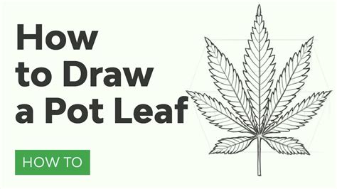 Cómo Dibujar una Hoja de Marihuana | Envato Tuts+