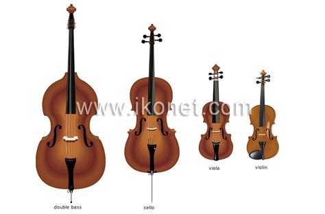 String Family Instruments Images - miaeroplano