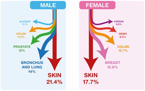 Ijerph Free Full Text Cancer Prevention For Survivors Incidence Of