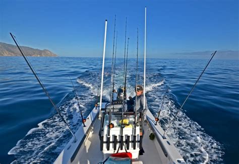 Setting The Small Boat Marlin Trolling Spread | BDOutdoors | Bloodydecks