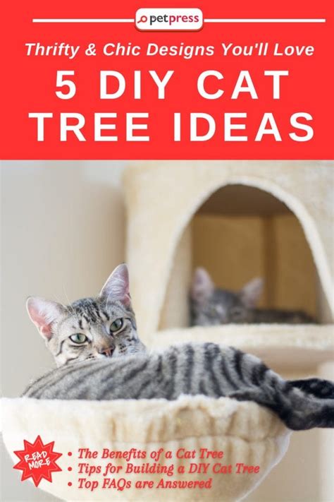 5 DIY Cat Tree Ideas: Thrifty & Chic Designs You'll Love - PetPress