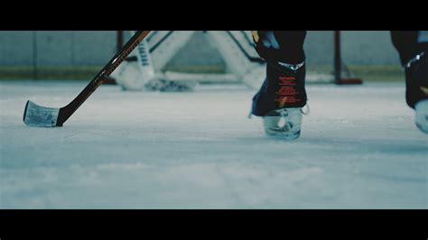 EHC Zweibrücken Hornets Season Teaser 2015 2016 on Behance