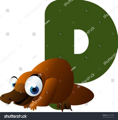 Newest Abc Animals P Platypus Stock Vector Royalty Free 25707403