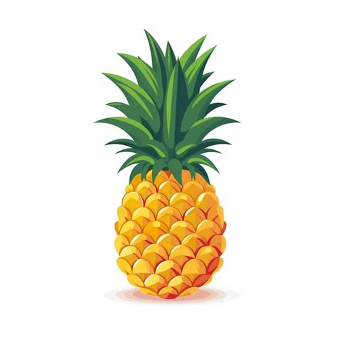 Premium Vector Pineapple Fruit Vector Tropical Illustration Juicy Food Sweet Design Fresh