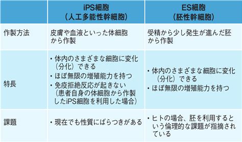 Ips 細胞 リスク Anxipoxxy