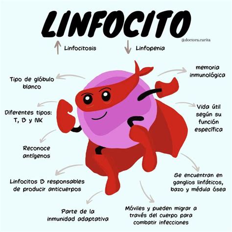 Linfocitos Doctora Curita UDocz