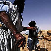 Habitations Oasis De Terjit Adrar Mauritanie Routard