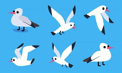 Premium Vector Cartoon Atlantic Seabird Seagull Flying In Blue Sky