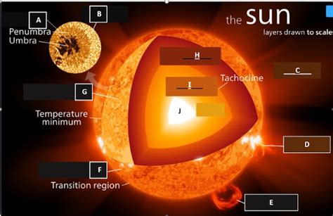 Space Exploration Exam Review: The Sun (diagrams) Diagram | Quizlet