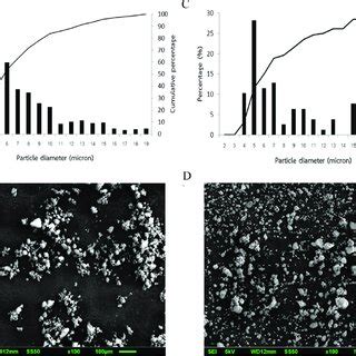 SEM Images Of The Copper Phthalocyanine Pigments And Their Particle