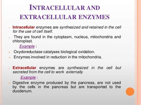 Enzymes Biochemistry