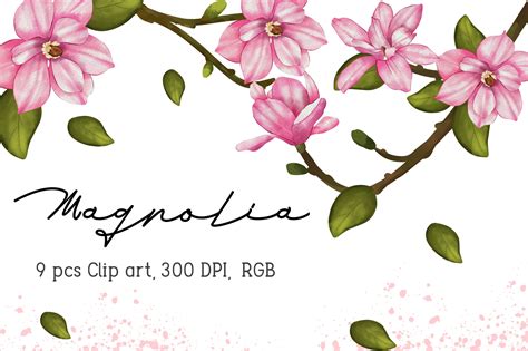 Magnolia Watercolor Clip Art Graphic by Mirai Studio · Creative Fabrica