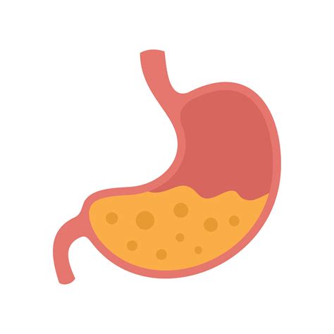 Food Stomach Icon Flat Isolated Vector 15063260 Vector Art At Vecteezy