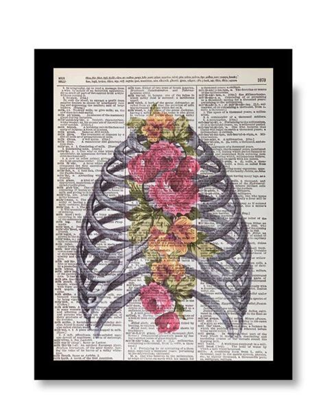 Dictionary Page Print Rib Cage Print Anatomical Rib Cage Etsy In