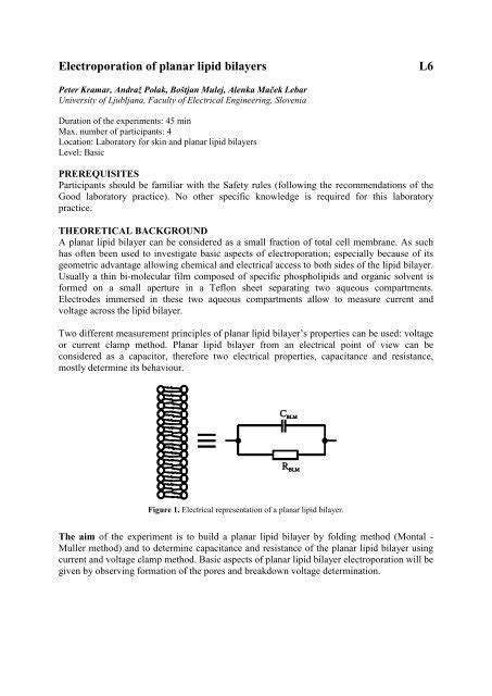 L6 Electroporation Of Planar Lipid Bilayers Cliniporator