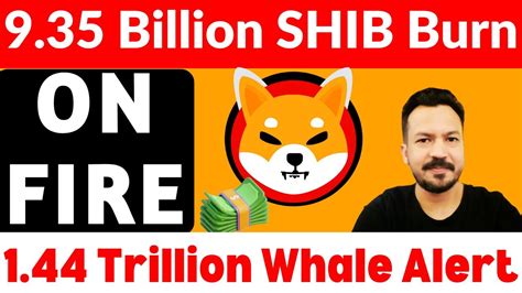 Shiba Inu Coin Burn Update Shiba Inu Coin News Today Hindi Crypto