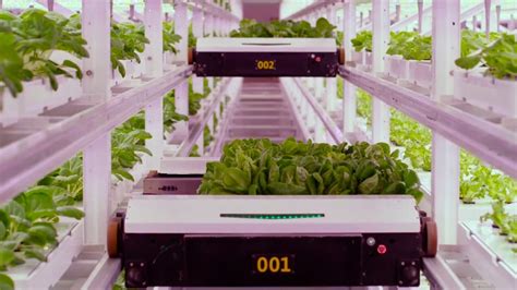 Wissen Webvideos Ist Vertical Farming Die Landwirtschaft Der Zukunft Play Srf