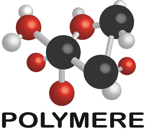 Une Vision Un Projet Pour Le Territoire Polym Re