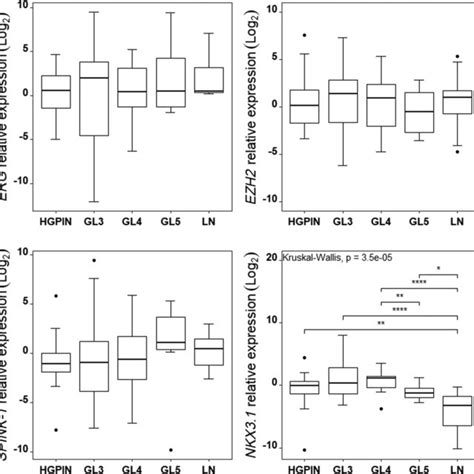 Molecular Subtypes And Molecular Patterns Analyzed By Histopathological Download Scientific