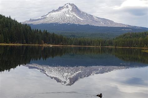 Mt Hood Gorge Waterfall Loop From Portland