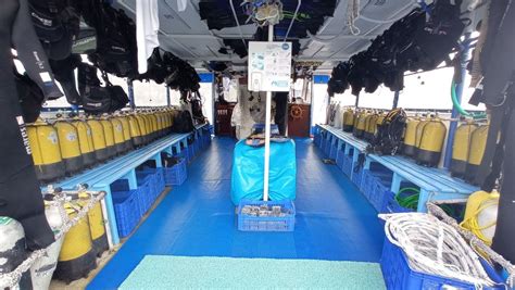 Дайвинг Центр Адалия - Турция: Анталья, Каш | Adalya Diving Center