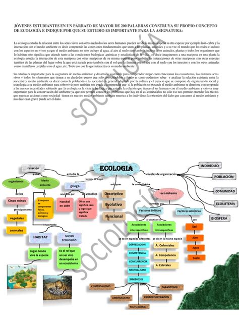 Concepto De Ecologia Pdf Entorno Natural Ecología