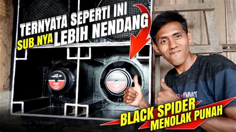 Tes Box Planar Inch Sepiker Nya Di Balik Super Horeg Dan Nendang