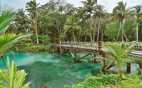 Savasi Island Resort Savusavu Tourism Association