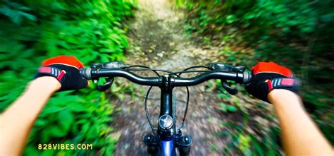 Guide To Mountain Biking in the North Carolina Smoky Mountains