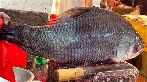 Amazing Giant Katla Fish Cutting Skills Live In Fish Market Fish