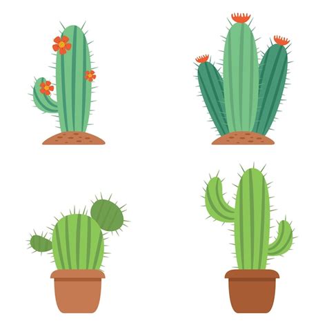 Premium Vector Flat Illustrations Of Cactus Plant