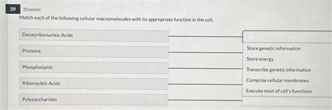 Solved Match each of the following cellular macromolecules | Chegg.com 