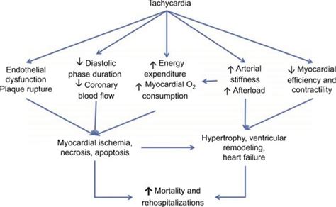 Full Article New Pharmacological And Technological Management