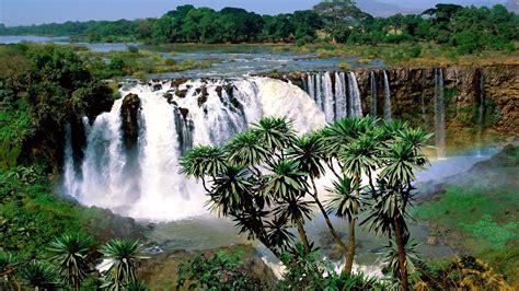 Blue Nile Falls - backiee