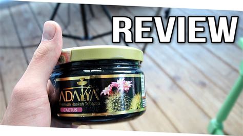 Adalya Cactus Tabak REVIEW TEST YouTube