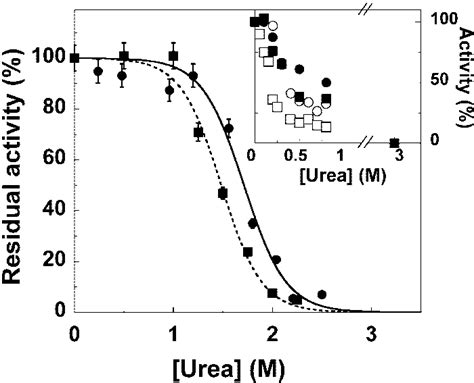 Effect Of Urea Concentration On Enzyme Activity Of Wildtype Circle