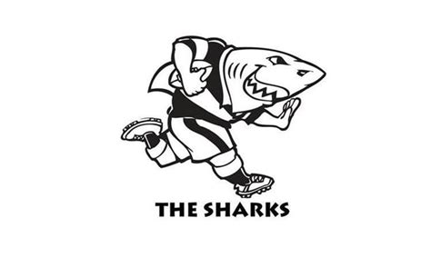 Sharks (rugby union) - Alchetron, The Free Social Encyclopedia