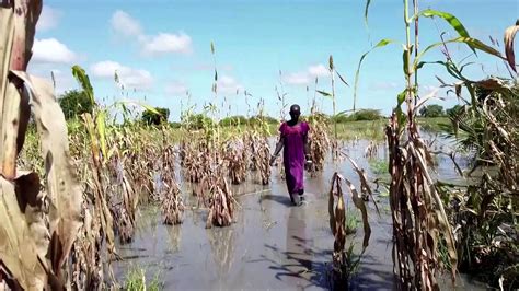 In South Sudans Leer County Nyadeng Majok Is Examining What Is Left Of