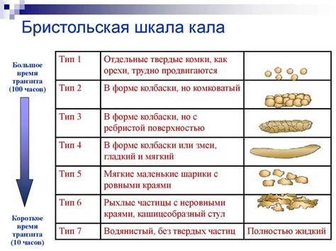 Правильный стул у человека - фото