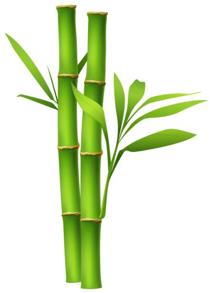 Bamboo border png, Bamboo border png Transparent FREE for download on ...