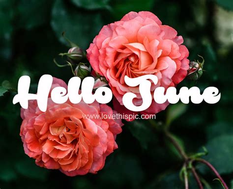 Hello June Images And Quotes To Welcome The Sunny Month