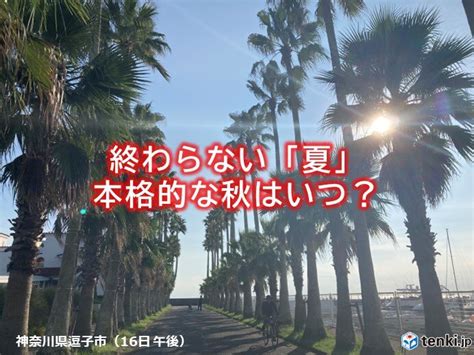 9月後半なのに厳しすぎる残暑 異例の暑さはいつまで｜愛媛新聞online