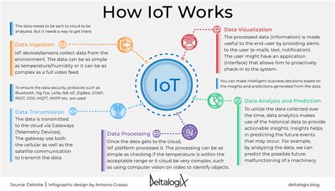 Internet Of Things Infographic 2022