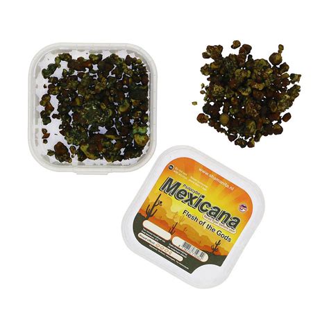 Mexicana Magic Truffles For Sale In Uk Magic Truffles For Sale Buy