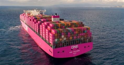 shipping  reports record profit increase  fiscal year