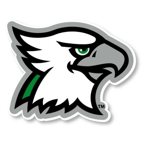 North Dakota Fighting Hawks 10-Inch Mascot Logo Ncaa Vinyl Decal ...