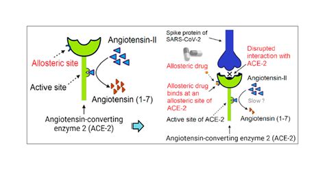 Allosteric Site Of Ace As A Drug Target For Covid Acs