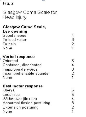 Health Assessment Study Guide Flashcards Quizlet