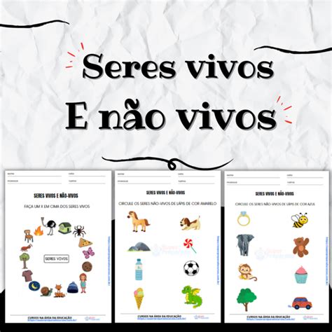 Seres Vivos E N O Vivos Simulados E Quest Es