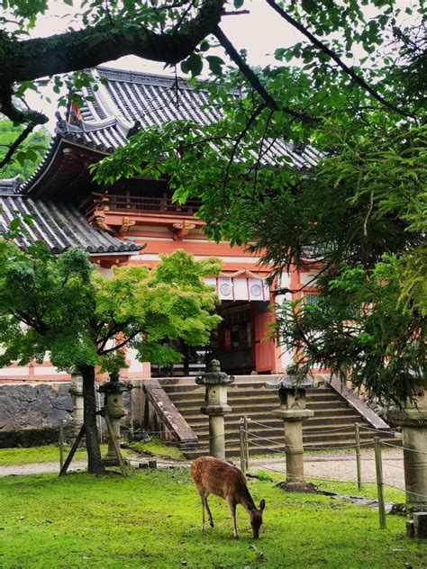 Les Incontournables Villes à Visiter Au Japon